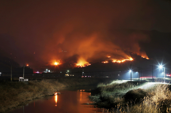 강풍에 확산하는 밀양 산불