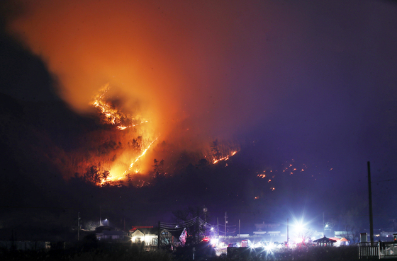 정부, 14일부터 '대형산불 특별대책기간' 가동…범정부 대응 강화