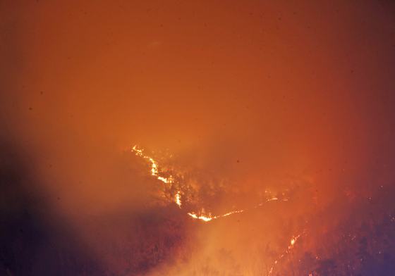 산림청, 밀양 산불 현장 통합지휘권 산림청장으로 전환