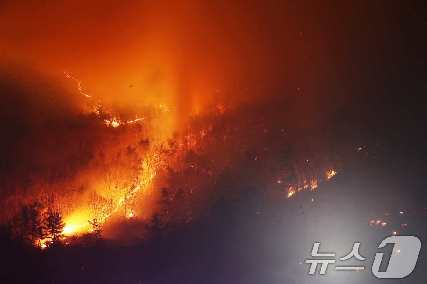 (밀양=뉴스1) 윤일지 기자 = 23일 오후 경남 밀양 삼랑진읍 검세리 한 야산에서 발생한 산불이 강풍에 확산되고 있다.  2026.2.23/뉴스1
