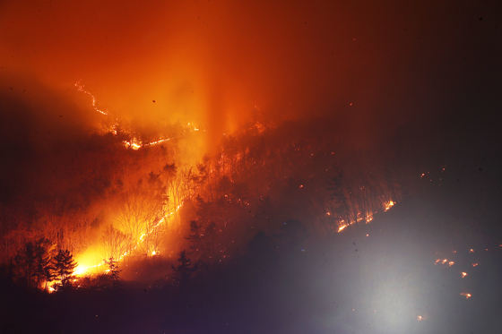 번지는 밀양 산불