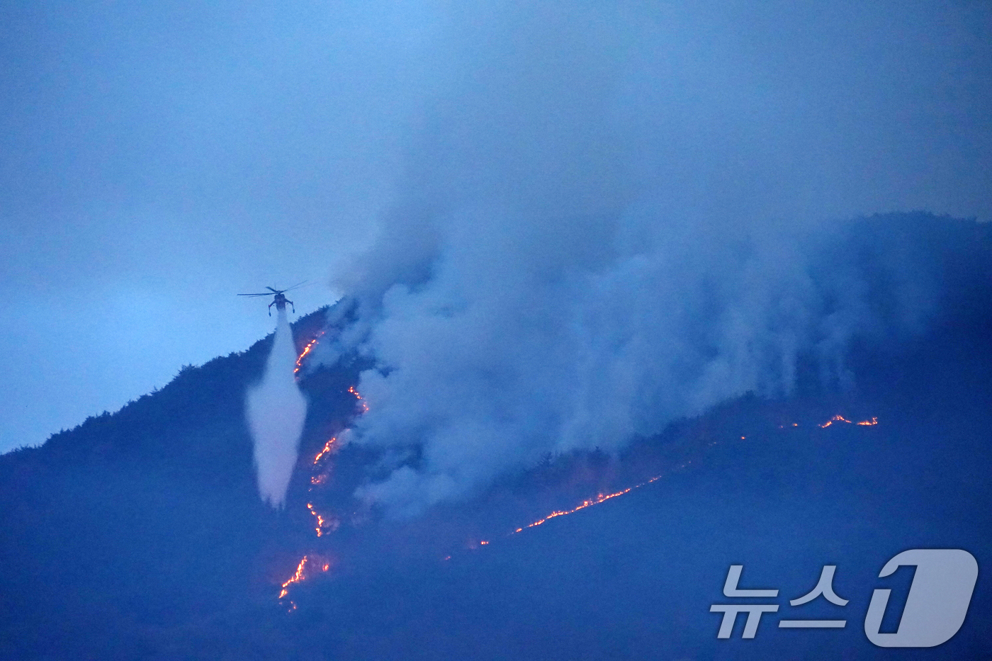 (밀양=뉴스1) 윤일지 기자 = 경남 밀양 산불 이틀째인 24일 오전 삼랑진읍 검세리 산불 현장에서 산림청 산불진화 헬기가 진화 작업을 벌이고 있다. (산림청 제공. 재판매 및 D …