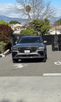 1000억대 자산가 손흥민 '애마' 뭐길래…"벤틀리 아니다" 조회수 폭발[영상]