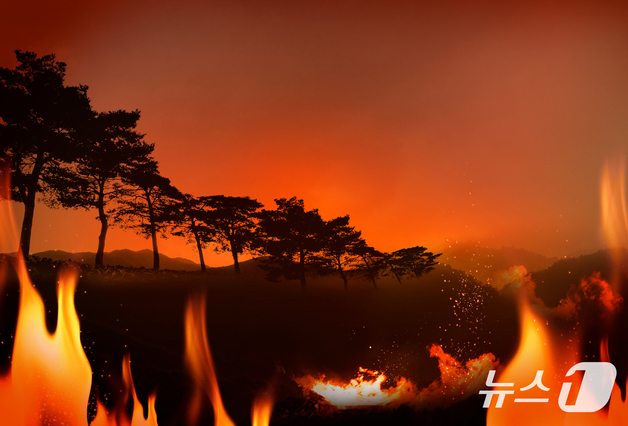 파주 전차사격장 화재 산으로 번져…임야 2500㎡ 소실