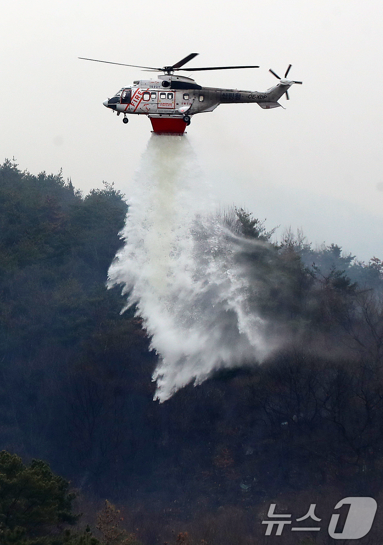 (밀양=뉴스1) 윤일지 기자 = 경남 밀양 산불 이틀째인 24일 오전 삼랑진읍 검세리 산불 현장에서 산림청 산불진화 헬기가 산불에 검게 그을려 있다.  2026.2.24/뉴스1
