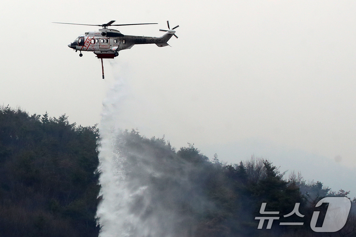 (밀양=뉴스1) 윤일지 기자 = 경남 밀양 산불 이틀째인 24일 오전 삼랑진읍 검세리 산불 현장에서 산림청 산불진화 헬기가 산불에 검게 그을려 있다.  2026.2.24/뉴스1