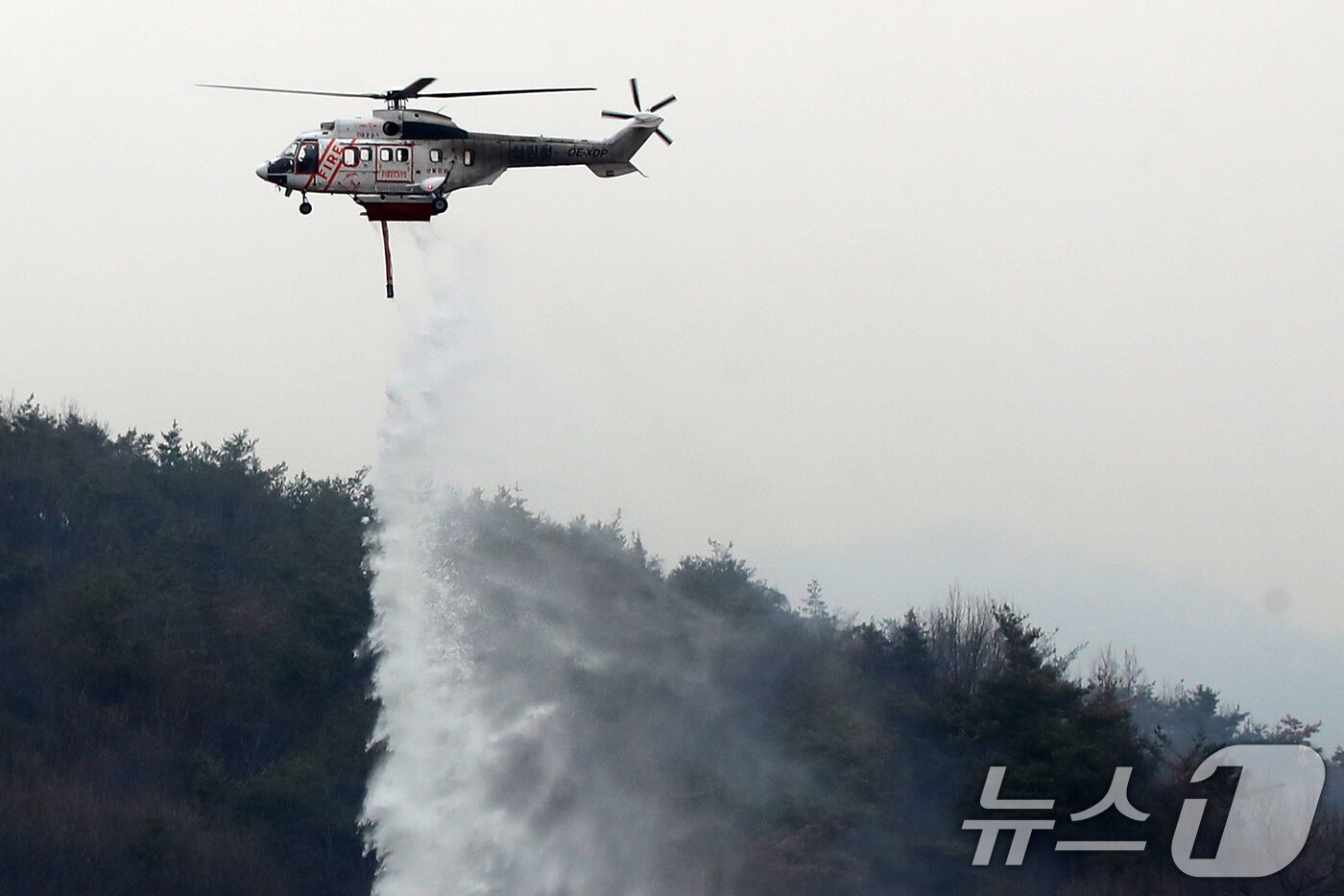본문 이미지 - 산림청 산불진화 헬기. (뉴스1 DB)  2026.2.24 ⓒ 뉴스1 윤일지 기자
