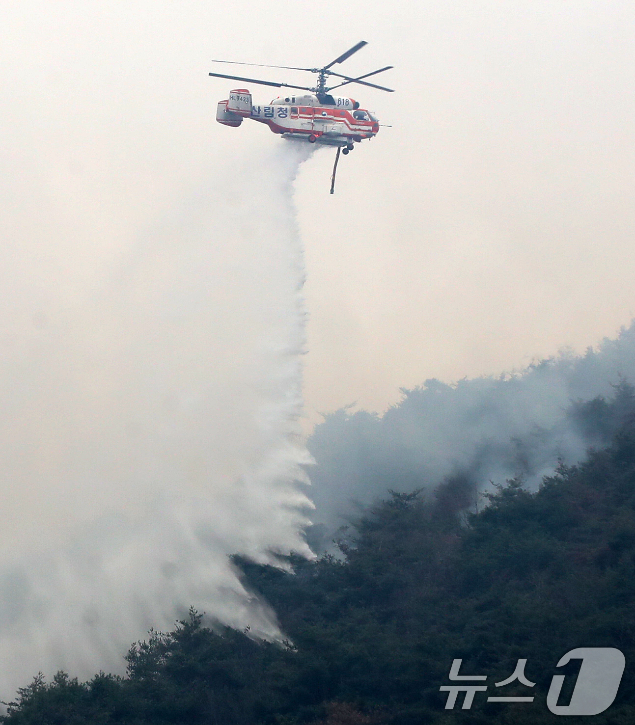 (밀양=뉴스1) 윤일지 기자 = 경남 밀양 산불 이틀째인 24일 오전 삼랑진읍 검세리 산불 현장에서 산불진화 헬기가 진화 작업을 벌이고 있다. 2026.2.24/뉴스1
