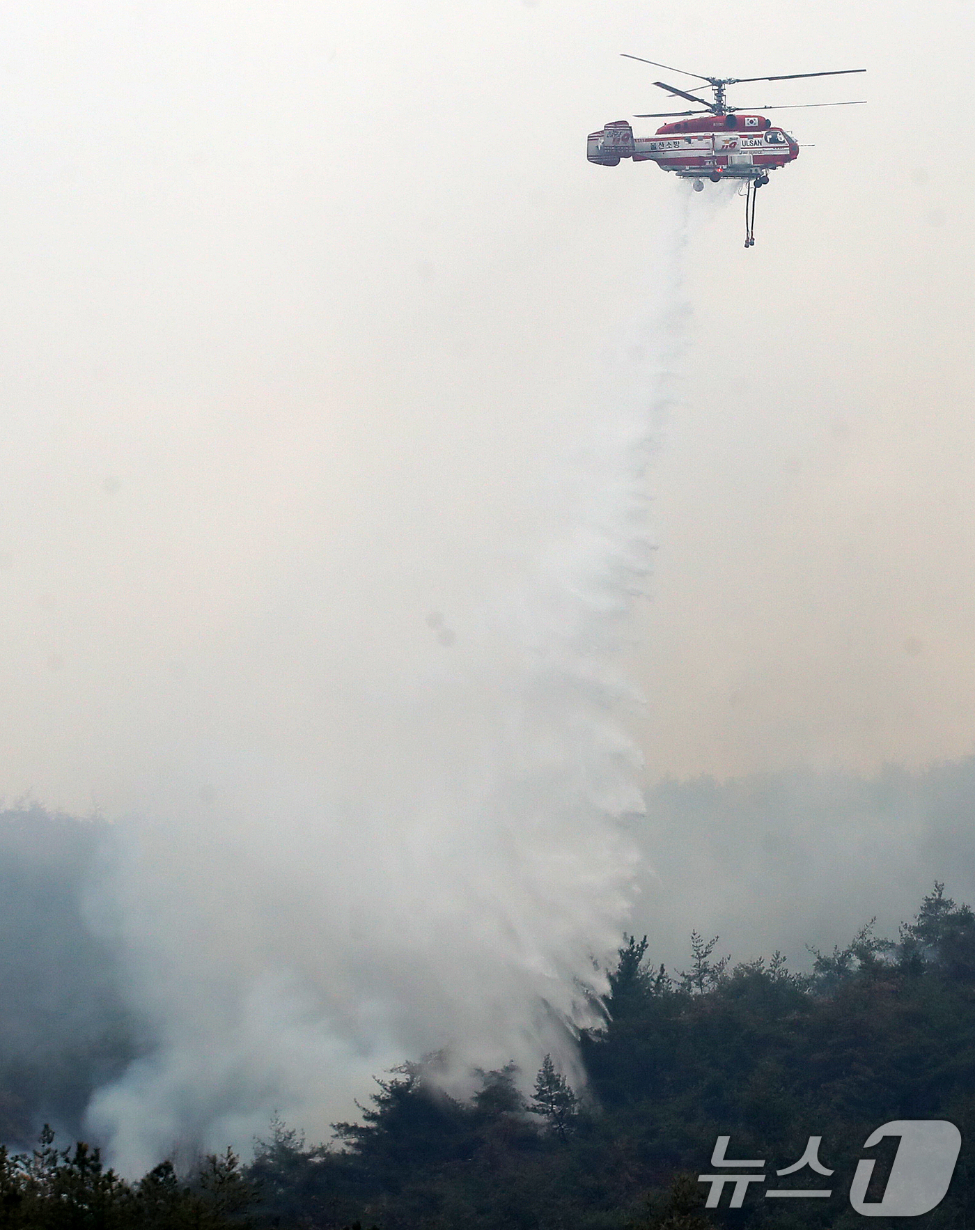 (밀양=뉴스1) 윤일지 기자 = 경남 밀양 산불 이틀째인 24일 오전 삼랑진읍 검세리 산불 현장에서 산불진화 헬기가 진화 작업을 벌이고 있다. 2026.2.24/뉴스1