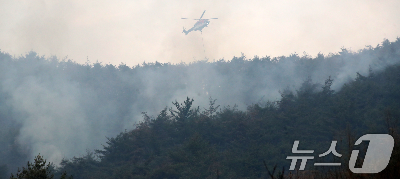(밀양=뉴스1) 윤일지 기자 = 경남 밀양 산불 이틀째인 24일 오전 삼랑진읍 검세리 산불 현장에서 육군 치누크 헬기(CH-47)가 진화 작업을 벌이고 있다. 2026.2.24/뉴 …