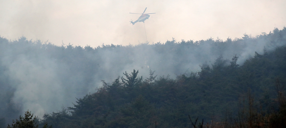 정부, 산불 유발 불법행위 특별단속…'무관용 원칙' 엄정 대응