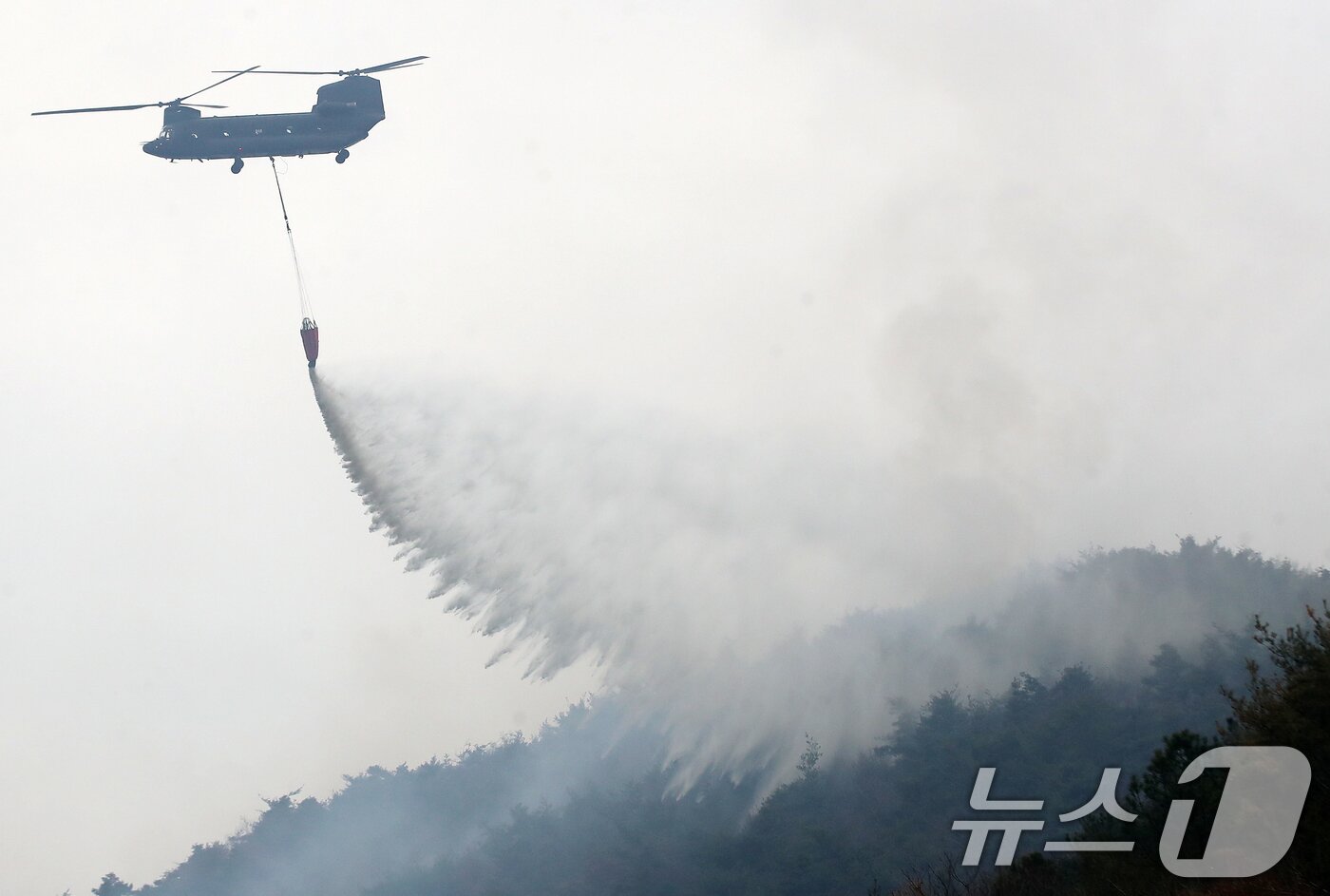 본문 이미지 - 경남 밀양 산불 이틀째인 24일 오전 삼랑진읍 검세리 산불 현장에서 육군 치누크 헬기(CH-47)가 진화 작업을 벌이고 있다. 2026.2.24 ⓒ 뉴스1 윤일지 기자
