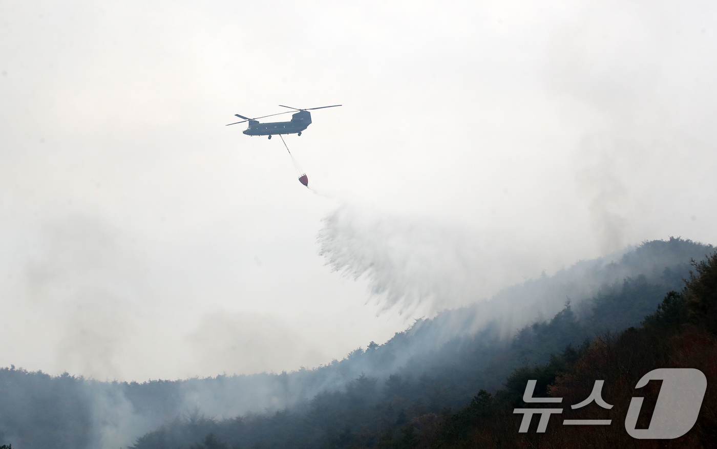 (밀양=뉴스1) 윤일지 기자 = 경남 밀양 산불 이틀째인 24일 오전 삼랑진읍 검세리 산불 현장에서 육군 치누크 헬기(CH-47)가 진화 작업을 벌이고 있다. 2026.2.24/뉴 …