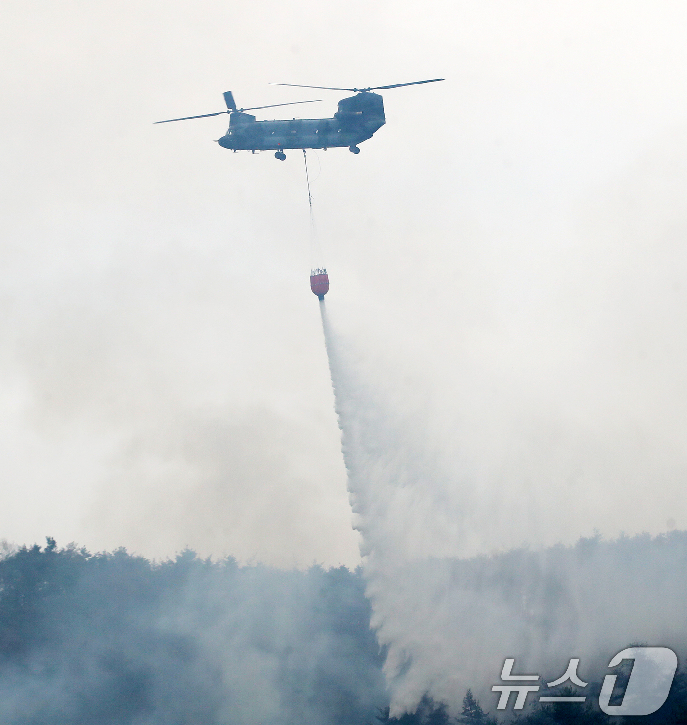 (밀양=뉴스1) 윤일지 기자 = 경남 밀양 산불 이틀째인 24일 오전 삼랑진읍 검세리 산불 현장에서 육군 치누크 헬기(CH-47)가 진화 작업을 벌이고 있다. 2026.2.24/뉴 …