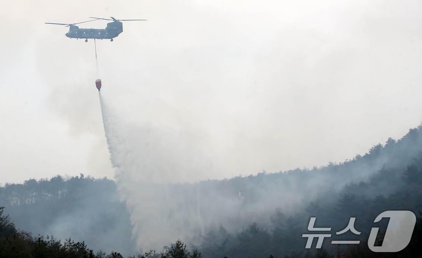 (밀양=뉴스1) 윤일지 기자 = 경남 밀양 산불 이틀째인 24일 오전 삼랑진읍 검세리 산불 현장에서 육군 치누크 헬기(CH-47)가 진화 작업을 벌이고 있다. 2026.2.24/뉴 …