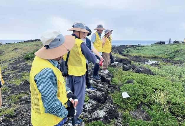 최첨단 AI 산림 시스템 개발 일등공신 '은퇴 노인들'이었다