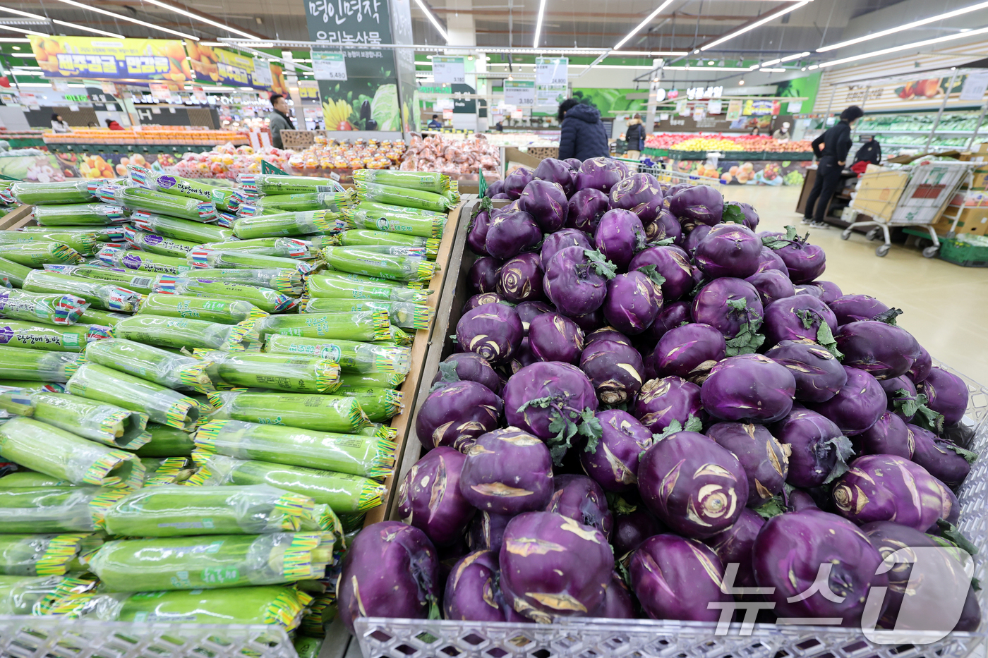(서울=뉴스1) 황기선 기자 = 24일 서울 시내 한 대형마트 농축산물 코너에서 시민들이 장을 보고 있다.한국은행이 이날 발표한 '2026년 1월 생산자물가지수(잠정)'에 따르면 …