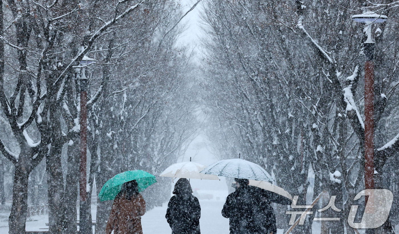 (대전=뉴스1) 김기태 기자 = 대전과 충청지역 곳곳에 대설주의보가 발효된 24일 대전 서구 보라매공원에서 시민들이 우산을 쓰고 지나고 있다. 2026.2.24/뉴스1