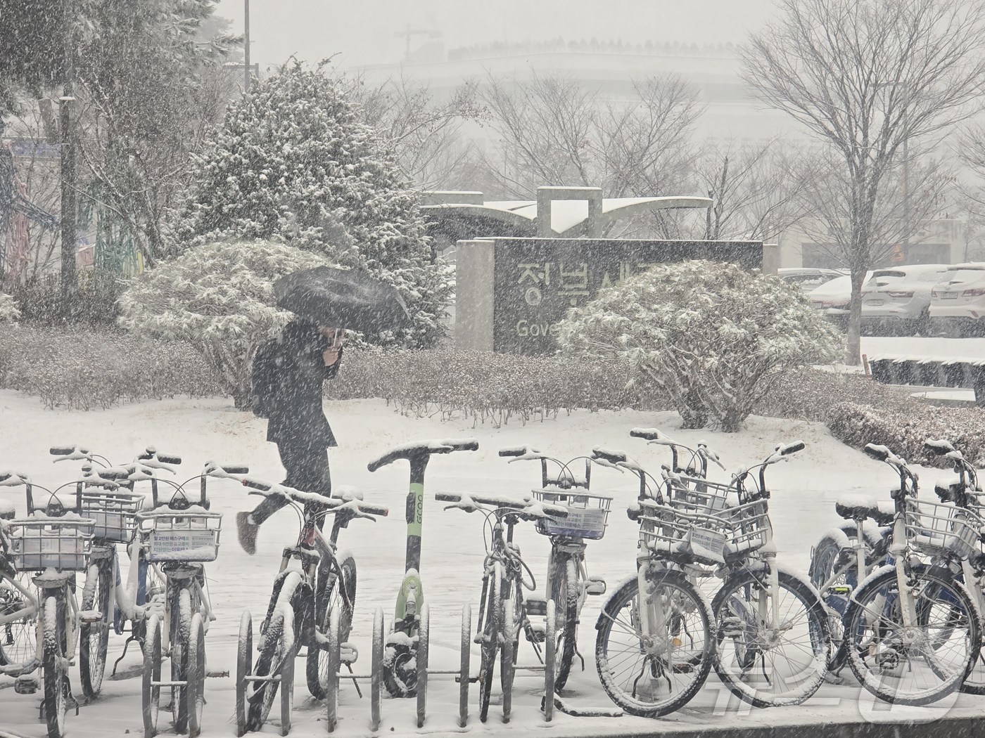 (세종=뉴스1) 황덕현 기후환경전문기자 = 24일 세종 어진동에 많은 눈이 내리고 있다. 기상청은 옛날 충청권에 최대 7㎝에 눈이 내릴 것이라고 예보했다. 2026.2.24/뉴스1 …