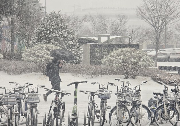 세종에 눈…기상청 \"충청 최대 7㎝\"