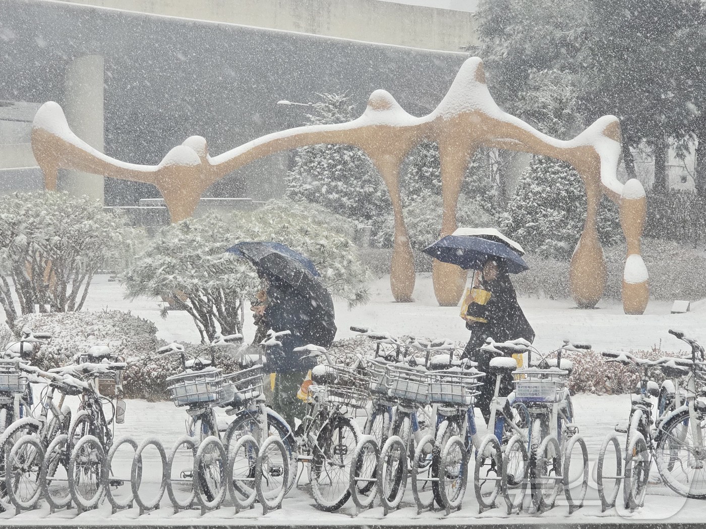 (세종=뉴스1) 황덕현 기후환경전문기자 = 24일 세종 어진동에 많은 눈이 내리고 있다. 기상청은 옛날 충청권에 최대 7㎝에 눈이 내릴 것이라고 예보했다. 2026.2.24/뉴스1 …