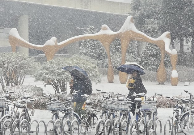 세종에 눈…기상청 \"충청 최대 7㎝\"