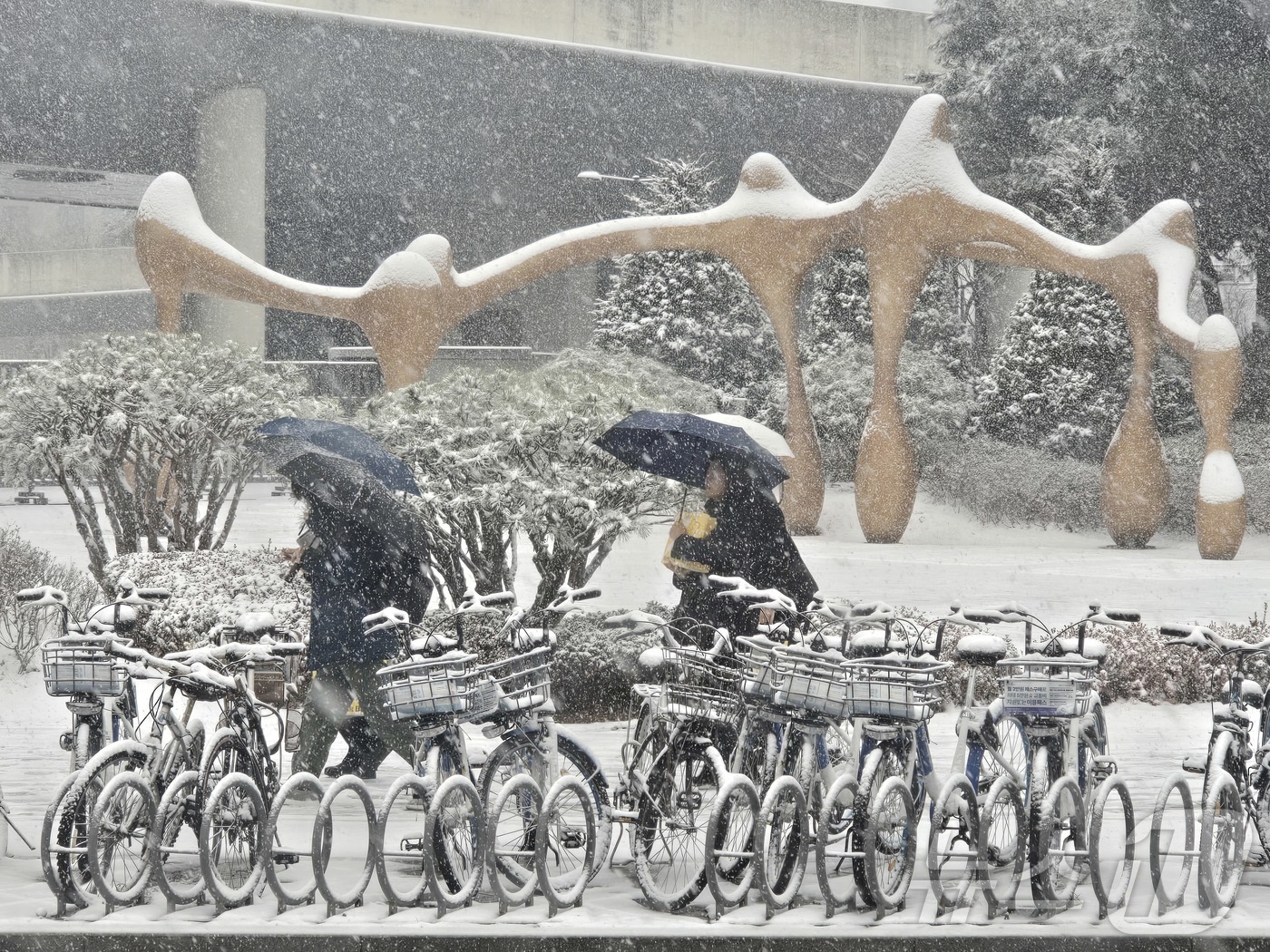 (세종=뉴스1) 황덕현 기후환경전문기자 = 24일 세종 어진동에 많은 눈이 내리고 있다. 기상청은 옛날 충청권에 최대 7㎝에 눈이 내릴 것이라고 예보했다. 2026.2.24/뉴스1 …