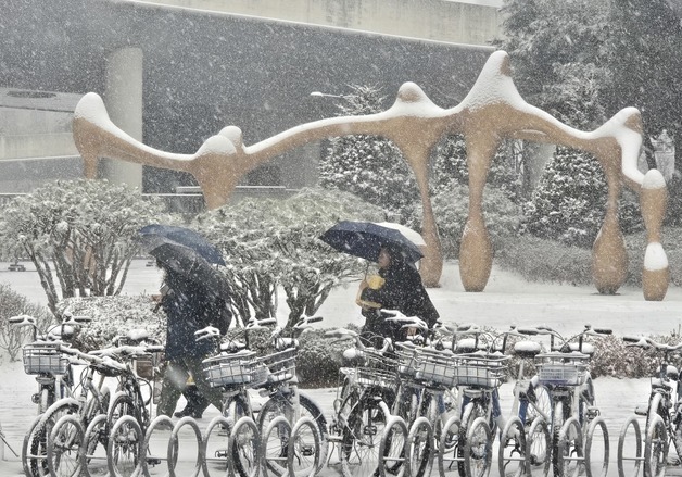 세종에 눈…기상청 \"충청 최대 7㎝\"