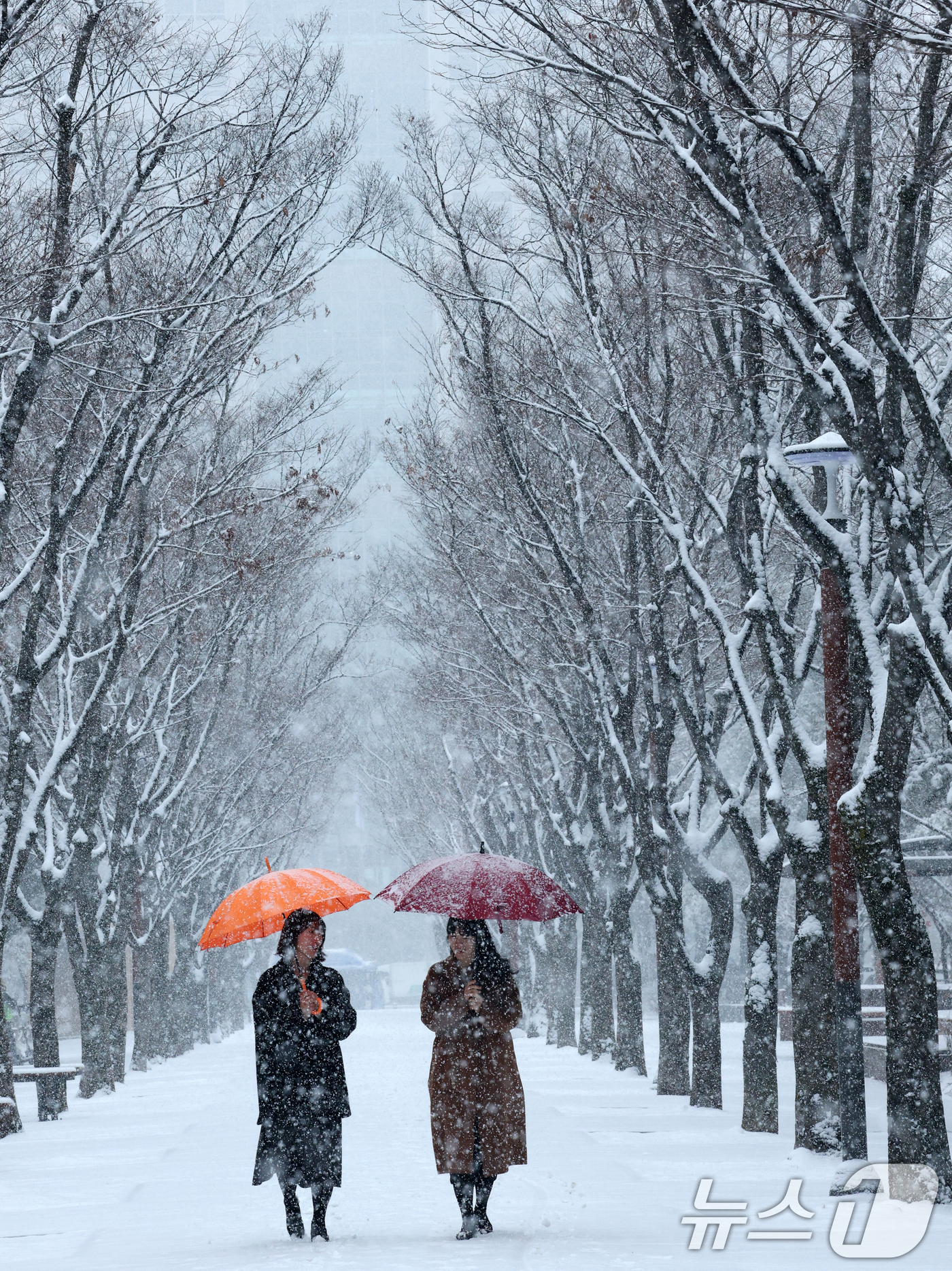 (대전=뉴스1) 김기태 기자 = 대전과 충청지역 곳곳에 대설주의보가 발효된 24일 대전 서구 보라매공원에서 시민들이 우산을 쓰고 지나고 있다. 2026.2.24/뉴스1
