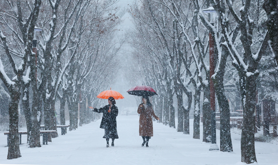 폭설 내리는 대전