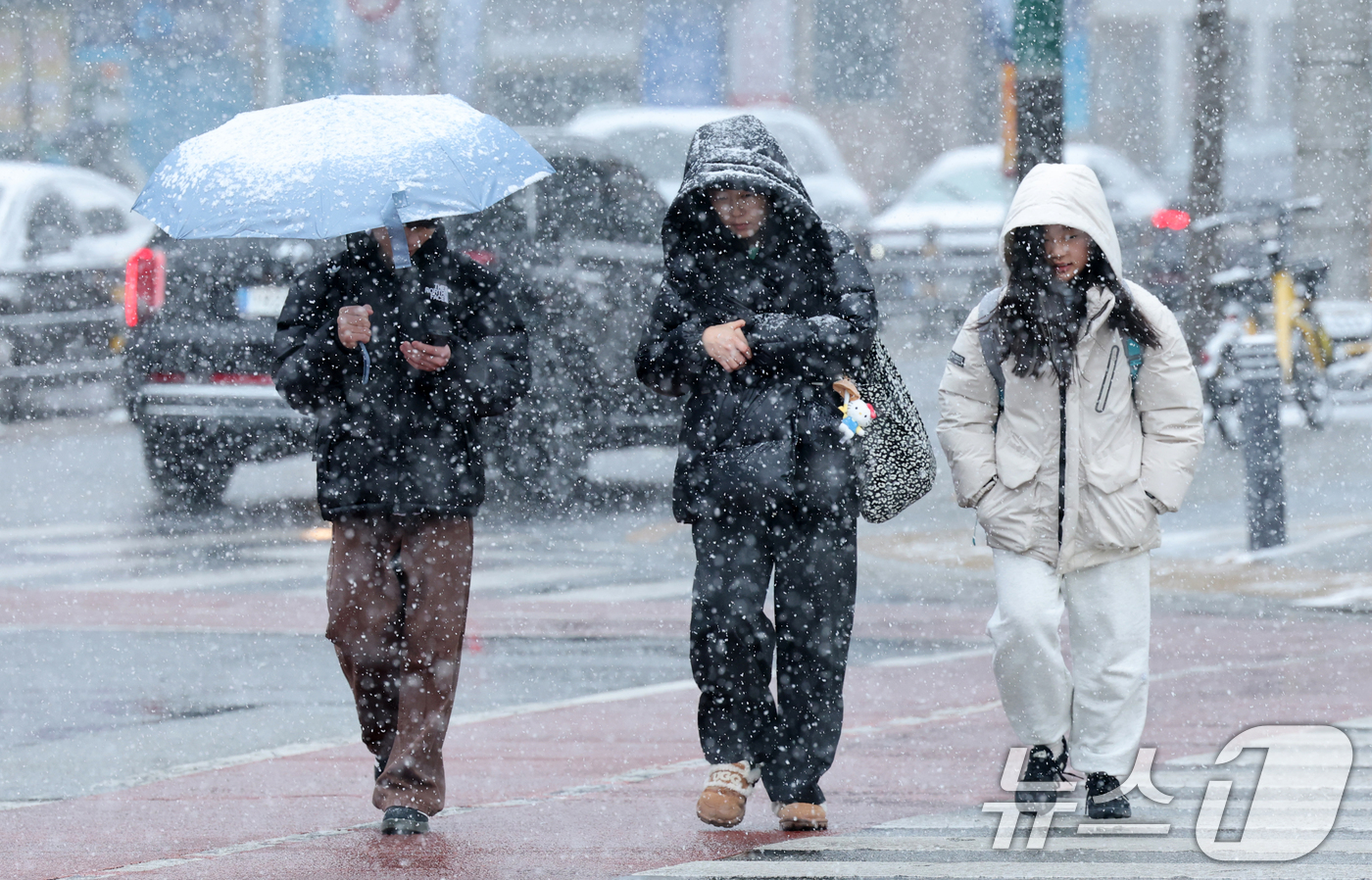 (대전=뉴스1) 김기태 기자 = 대전과 충청지역 곳곳에 대설주의보가 발효된 24일 대전시청 네거리에서 시민들이 우산을 쓰고 지나고 있다. 2026.2.24/뉴스1