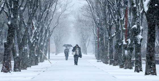 영월 대설주의보…강원 남부 곳곳 눈 이어져