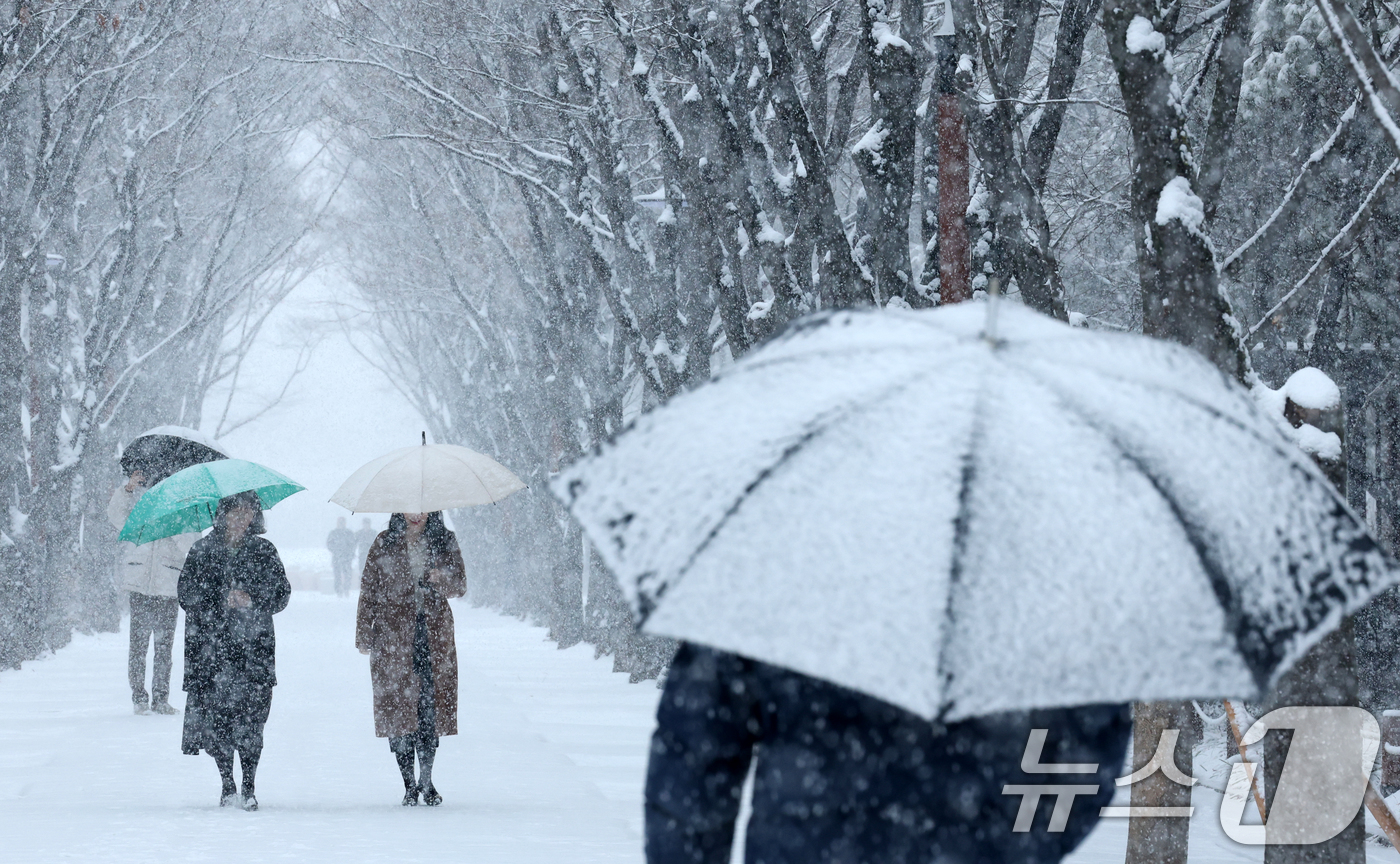 (대전=뉴스1) 김기태 기자 = 대전과 충청지역 곳곳에 대설주의보가 발효된 24일 대전 서구 보라매공원에서 시민들이 우산을 쓰고 지나고 있다. 2026.2.24/뉴스1