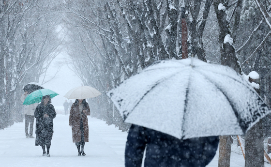 강원·충청·전북 대설특보…내일까지 최대 8cm '빙판길 주의'