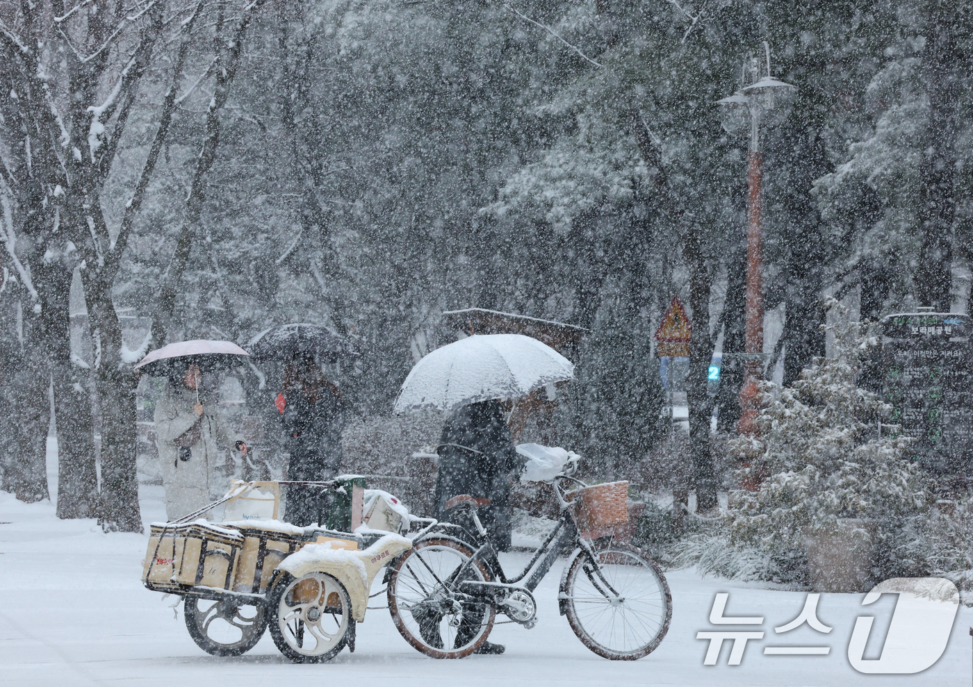 (대전=뉴스1) 김기태 기자 = 대전과 충청지역 곳곳에 대설주의보가 발효된 24일 대전 서구 보라매공원에서 시민들이 우산을 쓰고 지나고 있다. 2026.2.24/뉴스1