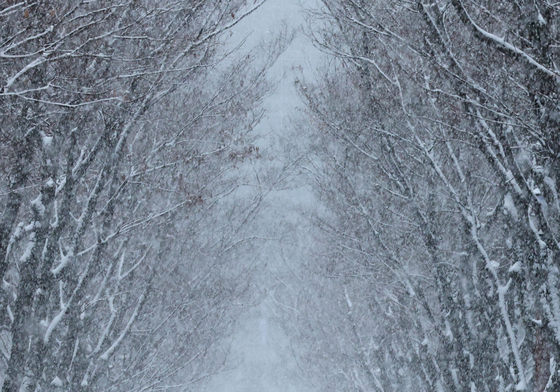 충청지역 대설주의보