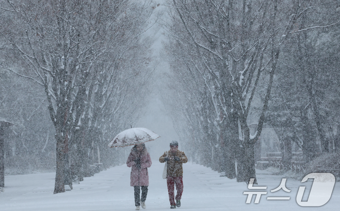 (대전=뉴스1) 김기태 기자 = 대전과 충청지역 곳곳에 대설주의보가 발효된 24일 대전 서구 보라매공원에서 시민들이 우산을 쓰고 지나고 있다. 2026.2.24/뉴스1