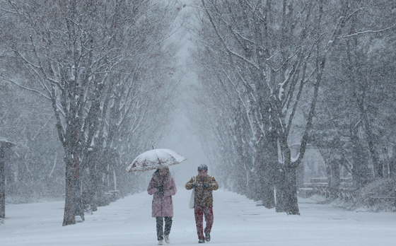 앞이 안보일정도로 내리는 폭설