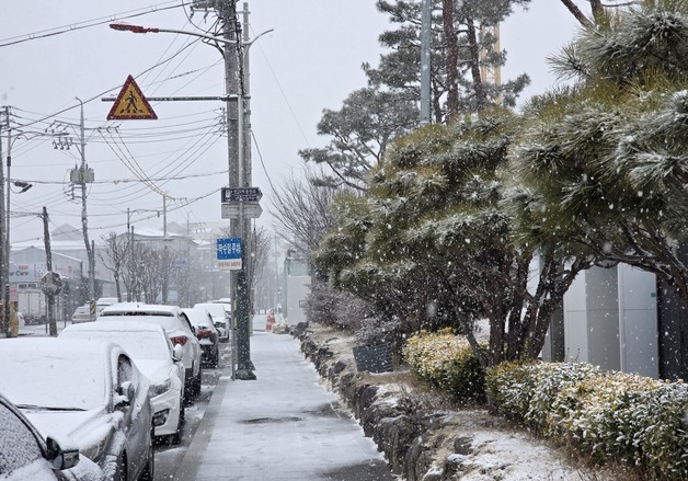 함양 오전부터 눈 내려…산불 상황 종료