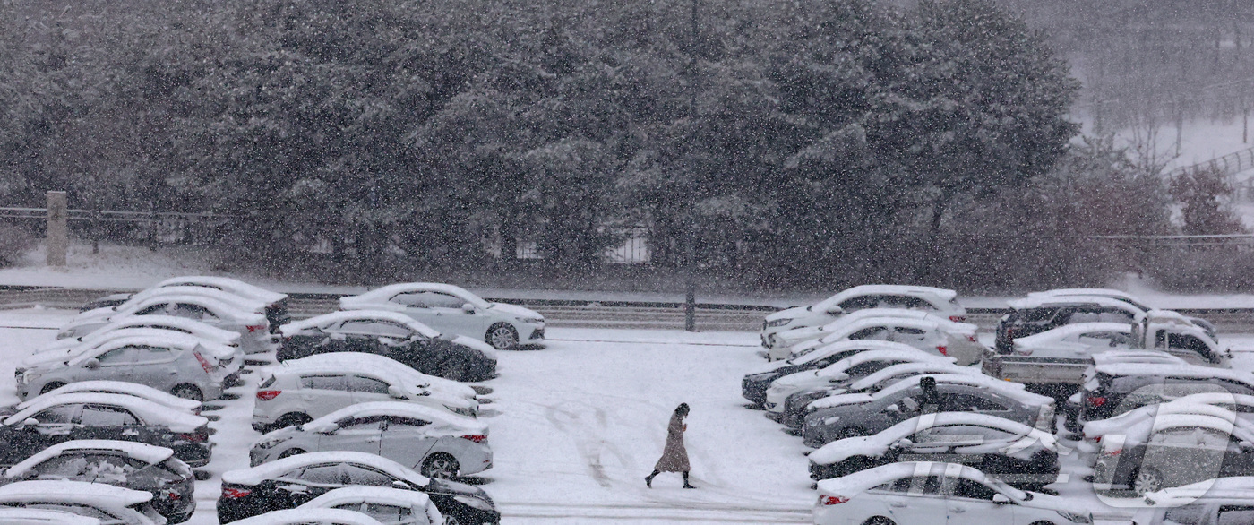 (세종=뉴스1) 김기남 기자 = 대전·세종·충남 남부권에 대설주의보가 발효된 24일 세종시 정부세종청사에 주차된 차량들에 눈이 쌓여가며 눈이 내리고 있다. 2026.2.24/뉴스1 …