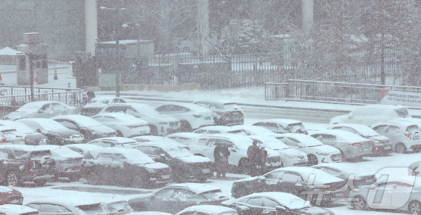 본문 이미지 - 대전·세종·충남 남부권에 대설주의보가 발효된 24일 세종시 정부세종청사에 주차된 차량들에 눈이 쌓여가며 눈이 내리고 있다. 2026.2.24 ⓒ 뉴스1 김기남 기자