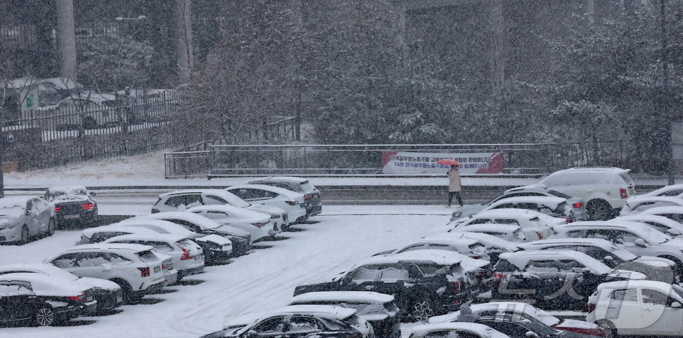 (세종=뉴스1) 김기남 기자 = 대전·세종·충남 남부권에 대설주의보가 발효된 24일 세종시 정부세종청사에 주차된 차량들에 눈이 쌓여가며 눈이 내리고 있다. 2026.2.24/뉴스1 …