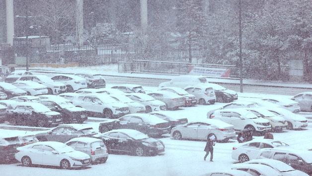 세종 대설주의보 해제…교통사고로 전신주 전도 응급 복구