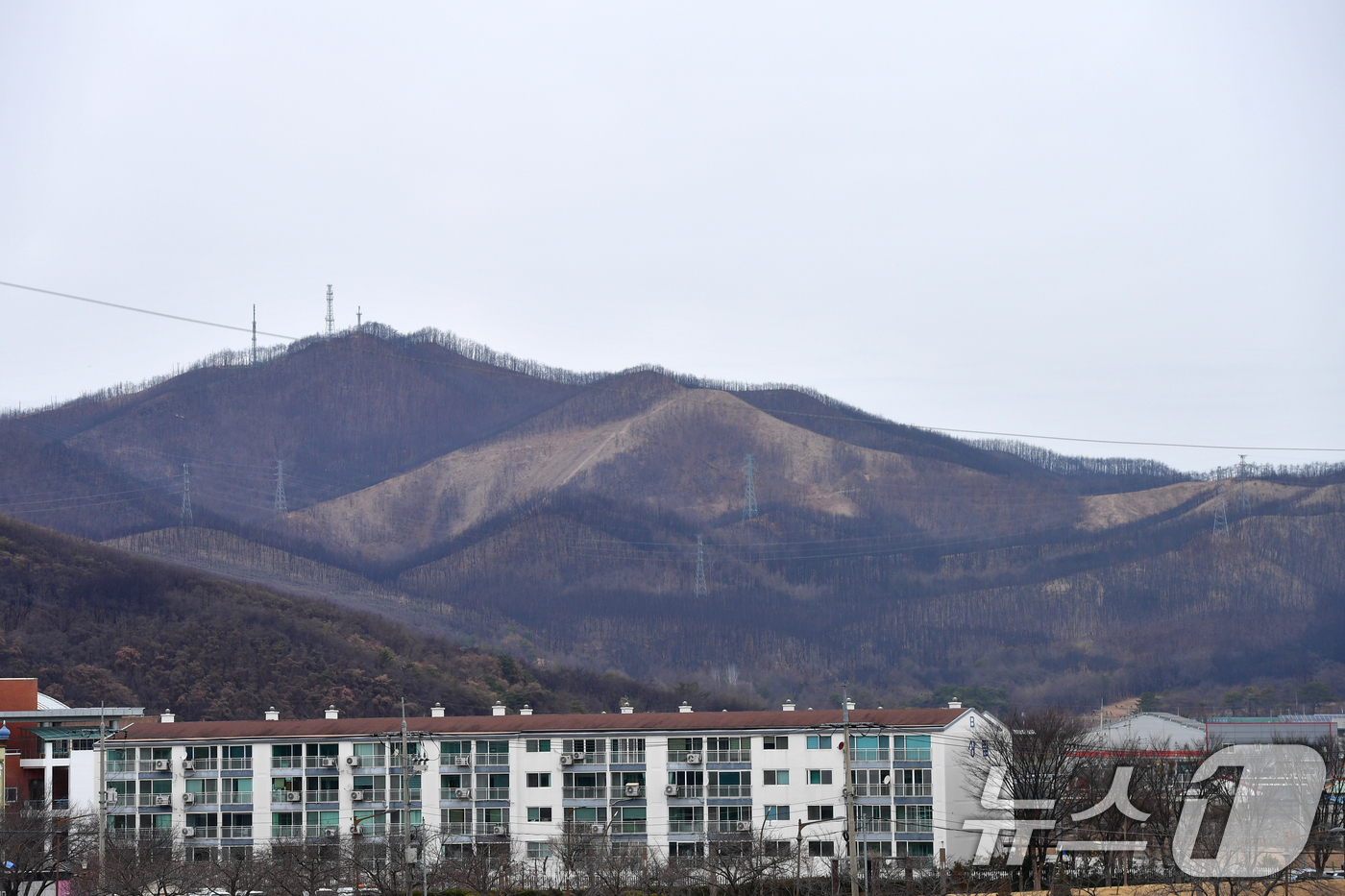 (영덕=뉴스1) 최창호 기자 = 23일 경북 영덕군 영덕읍 화계리 주변 산이 지난해 발생한 산불로 인한 민둥산으로 변해있다.  2026.2.24/뉴스1