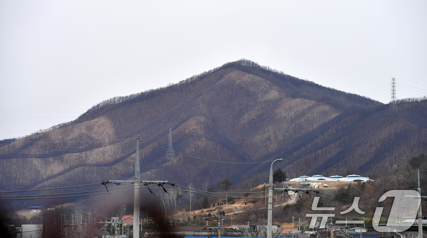 (영덕=뉴스1) 최창호 기자 = 23일 경북 영덕군 영덕읍 화계리 주변 산이 지난해 3월 발생한 산불로 민둥산으로 변해있다. 2026.2.24/뉴스1