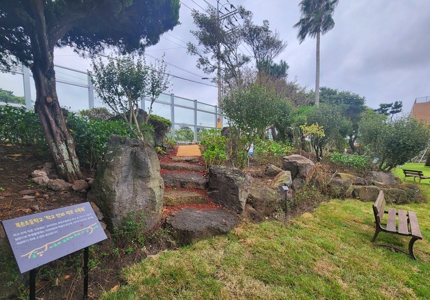 학교 자투리땅에 숲 조성…제주교육청, 5개 학교 지원