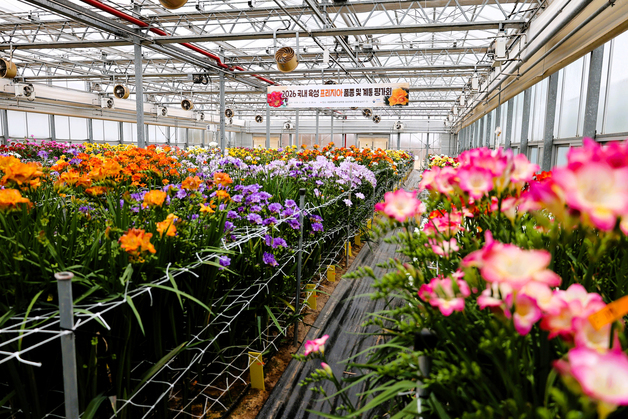 [오늘의 날씨] 전북(26일, 목)…낮 최고 16도, 출근길 '짙은 안개' 주의