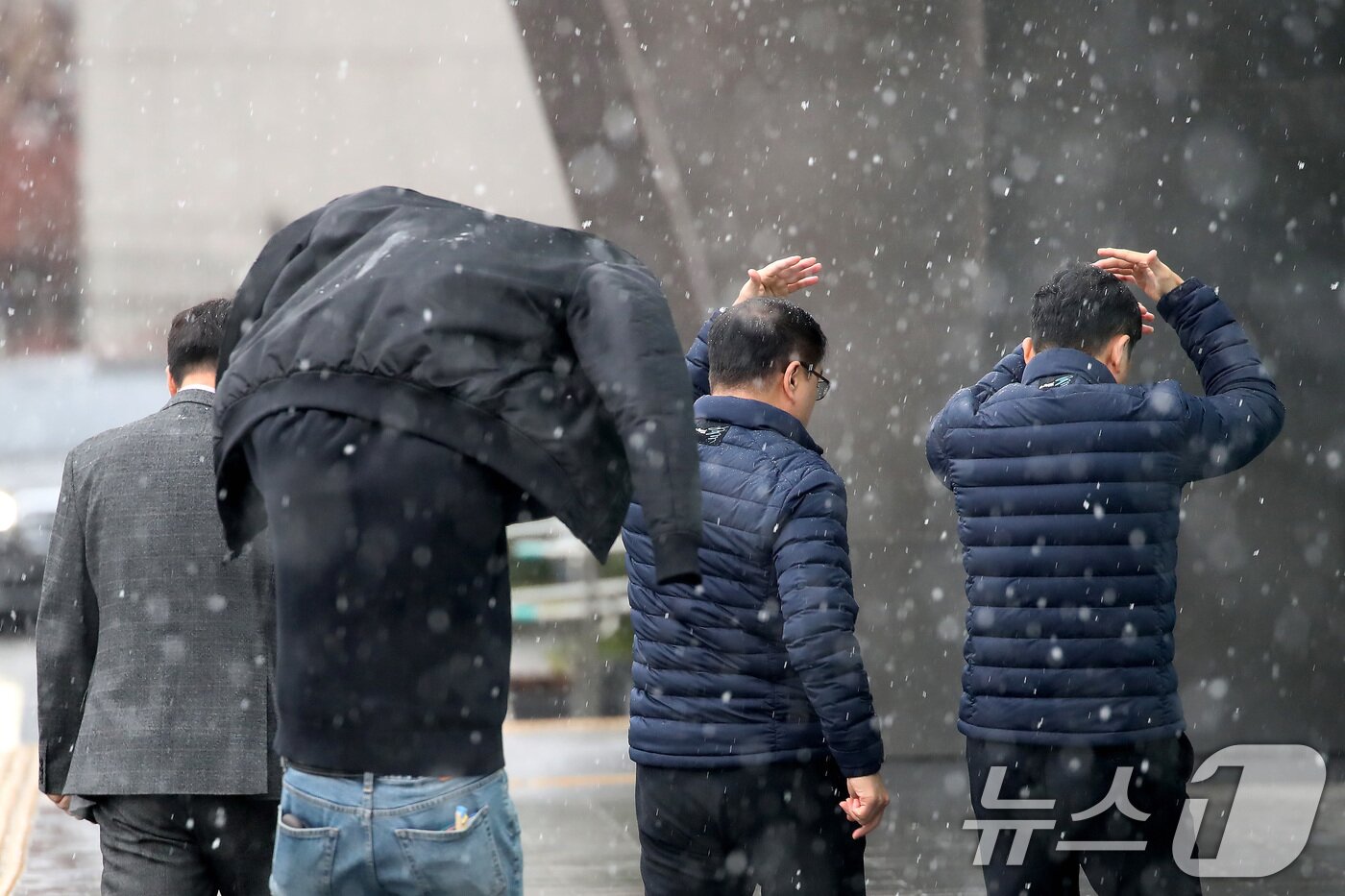 본문 이미지 - 24일 오후 대구 수성구 대구은행네거리 인근에 갑작스레 많은 눈이 내리자, 미처 우산을 준비하지 못한 시민들이 발걸음을 재촉하고 있다. 2026.2.24 ⓒ 뉴스1 공정식 기자