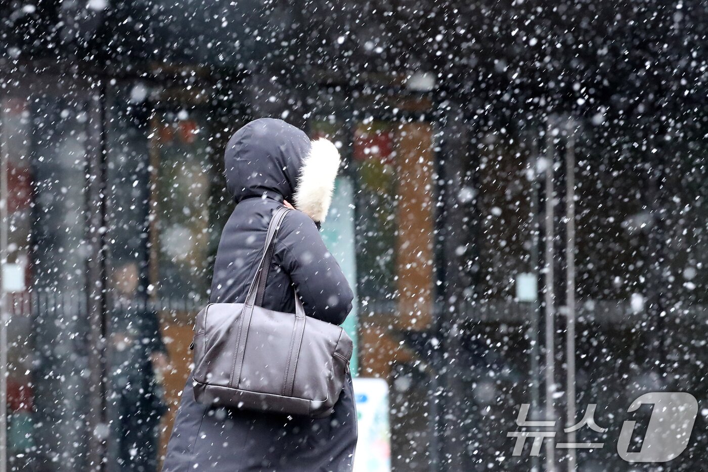 본문 이미지 - 24일 오후 대구 수성구 대구은행네거리 인근에 갑작스레 많은 눈이 내리자, 미처 우산을 준비하지 못한 시민들이 발걸음을 재촉하고 있다. 2026.2.24 ⓒ 뉴스1 공정식 기자