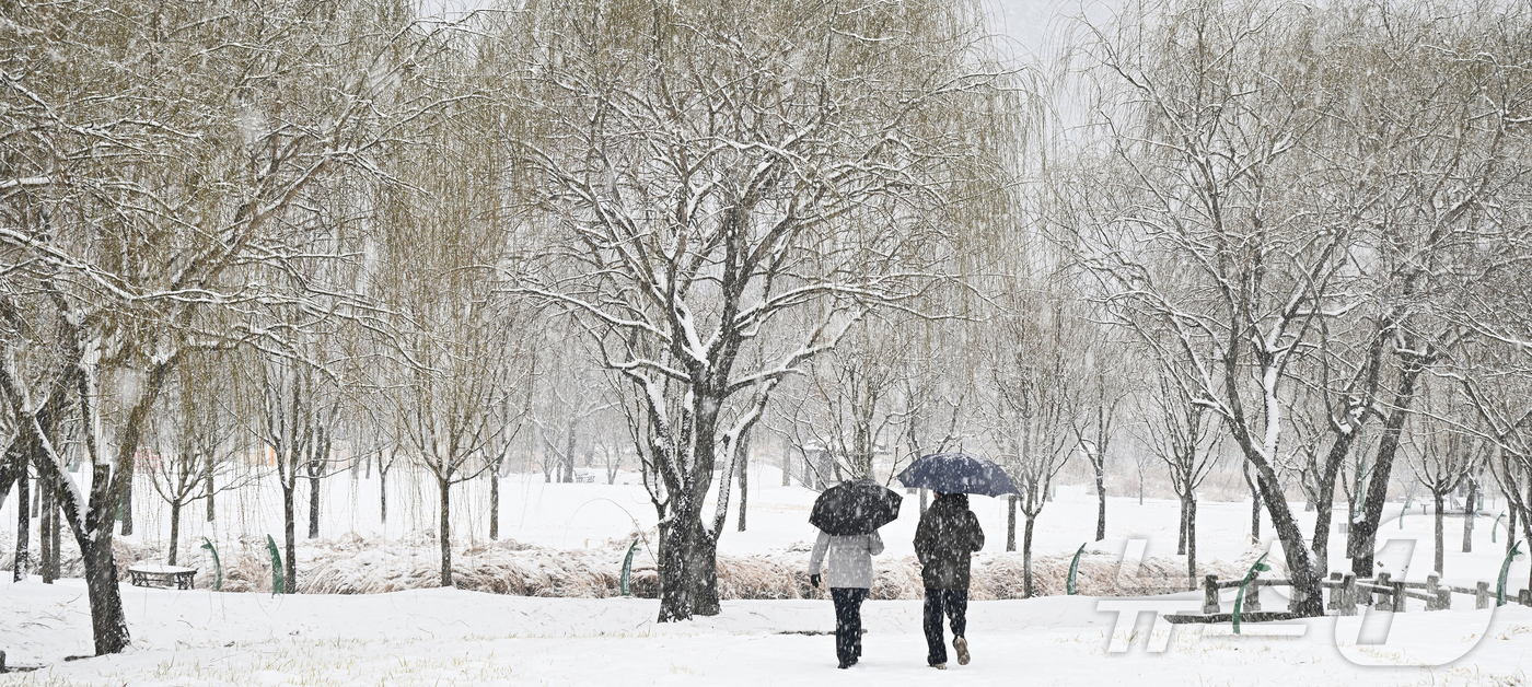 (서울=뉴스1) = 4일 대설주의보가 내려진 경남 거창군 남상면 거창창포원에 많은 눈이 내리고 있다. (거창군 제공. 재판매 및 DB 금지) 2026.2.24/뉴스1